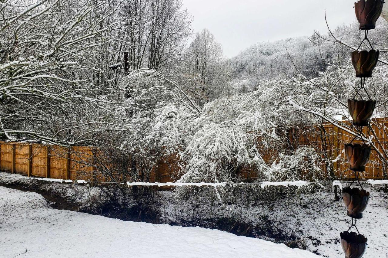 Smoky Mountain Vacation Rental With Hot Tub And Kayaks Whittier エクステリア 写真